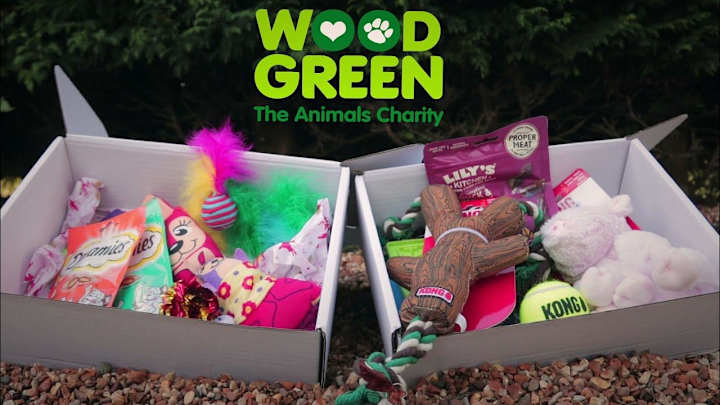 Cover image for Product promotion and Website banner video for Wood Green