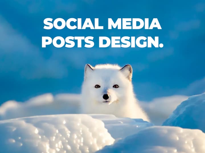 Cover image for Social Media Posts Designs