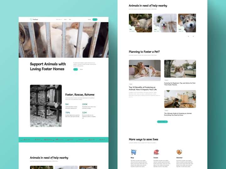 Cover image for Webflow | NPO for Animal Foster