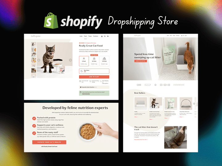 Cover image for High Conversion Dropshipping Store Setup