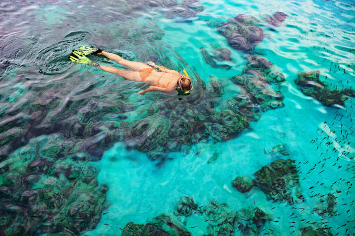 Cover image for The 5 Best Snorkeling Spots on Oʻahu in 2024