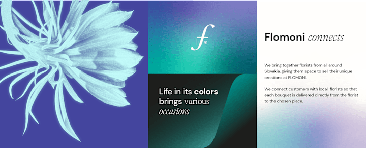 Cover image for FLOMONI - Visual Identity