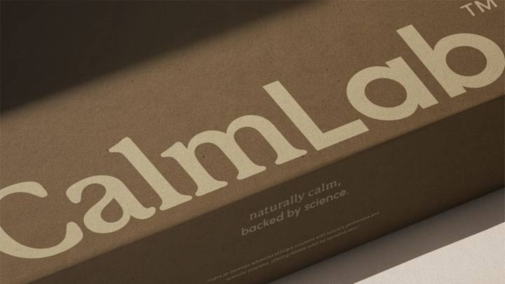 Cover image for CalmLab Brand Design