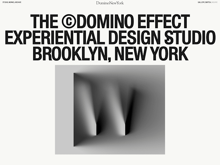 Cover image for Domino New York