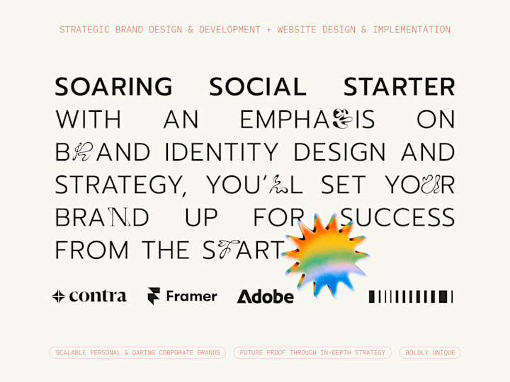 Cover image for Soaring Social Starter