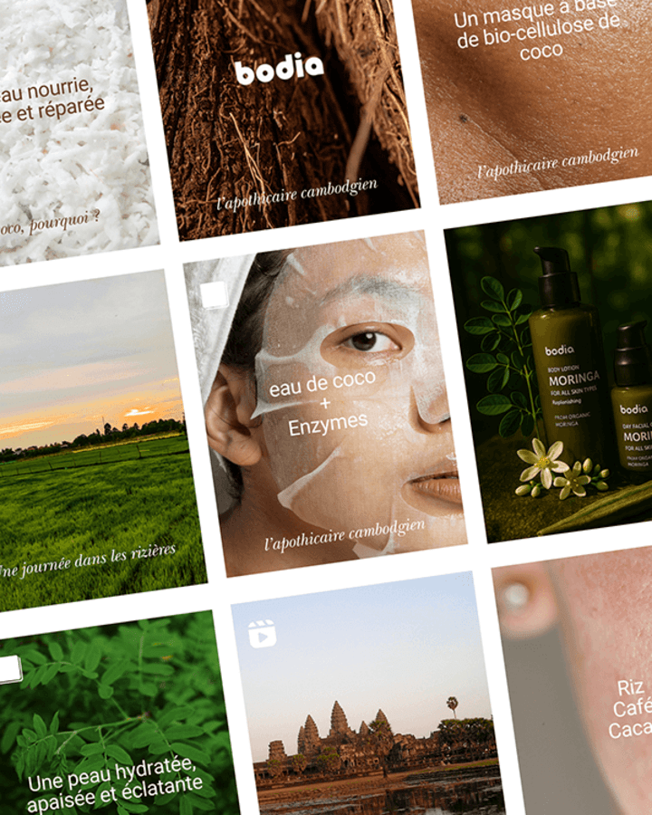 Cover image for Bodia Digital Communication Enhancement