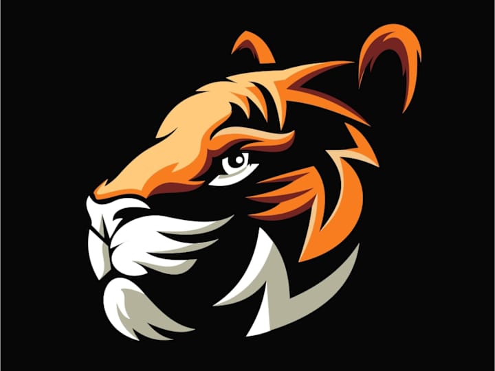 Cover image for GRAPHIC DESIGNER