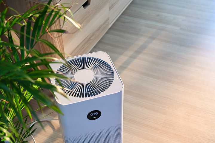 Cover image for Best Humidifier for Wood Floors