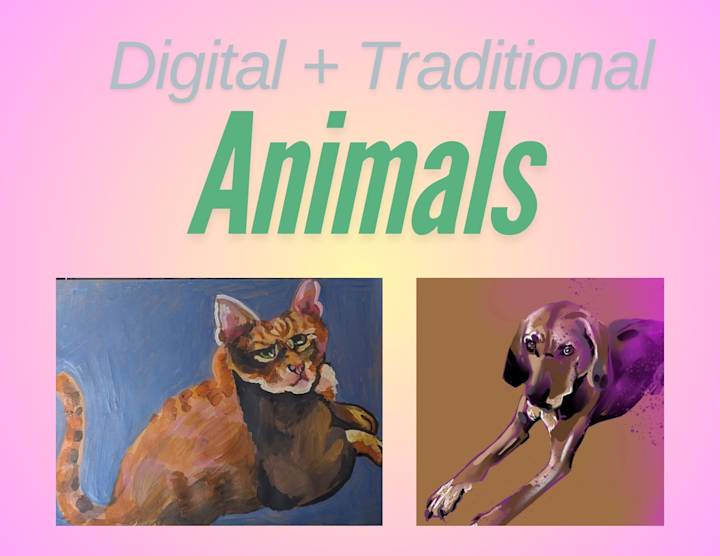 Cover image for Pets And Animals