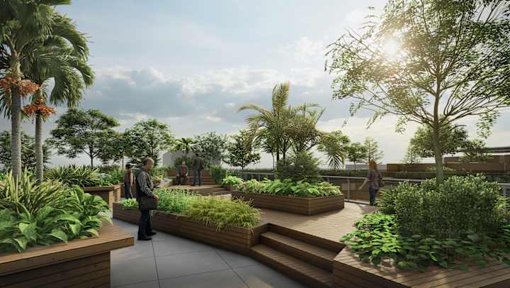 Cover image for Rooftop Landscape Design