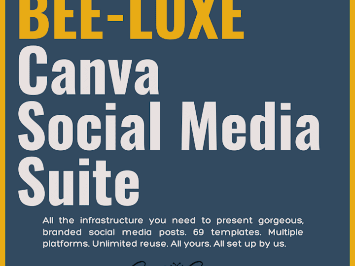 Cover image for I'll set up your Canva with ALL the social media stuff you need.