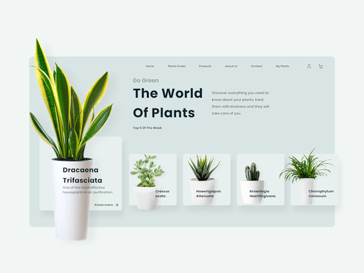 Cover image for Animated App Carousel 