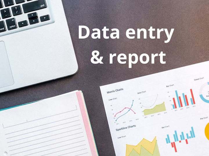 Cover image for Efficient and Reliable Data Entry - Your time saving solution