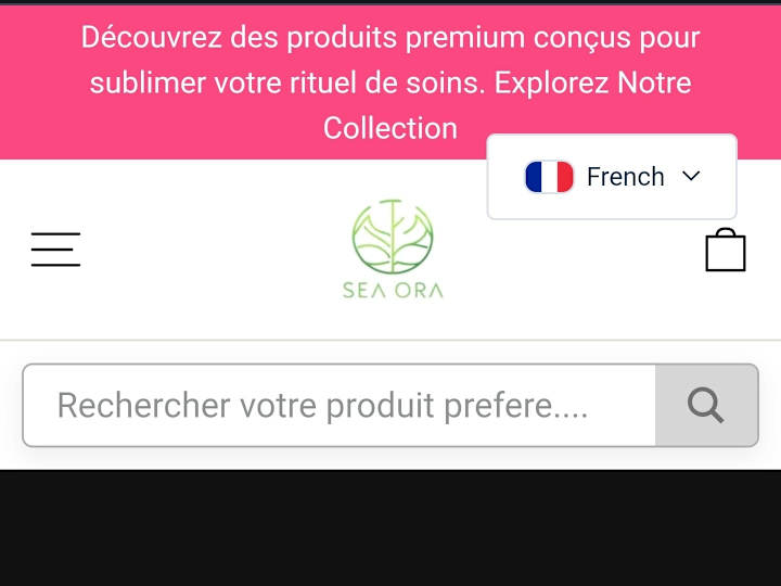 Cover image for Seaora Product Page Development