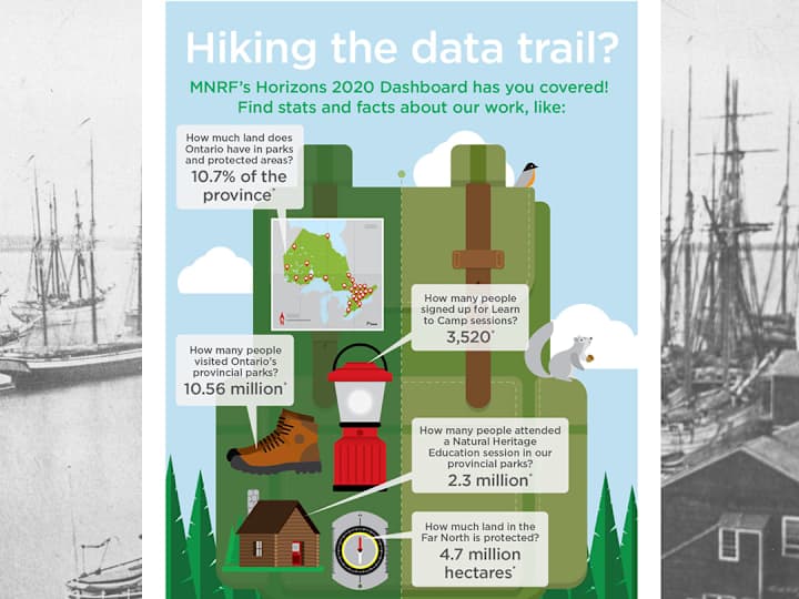 Cover image for MNRF H2020 Posters & Email Graphic