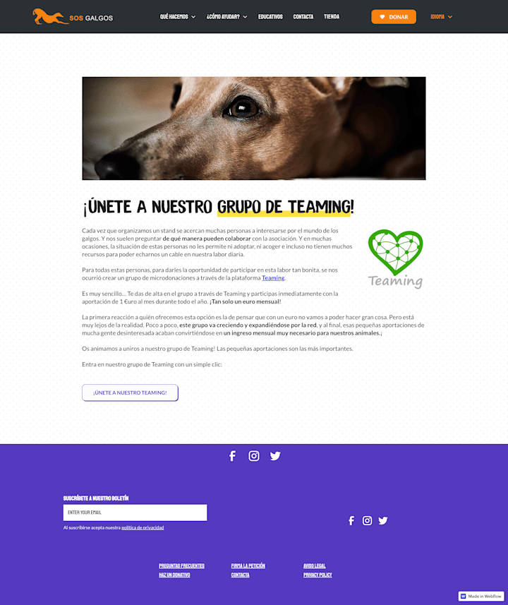 Cover image for SOS Galgos Website