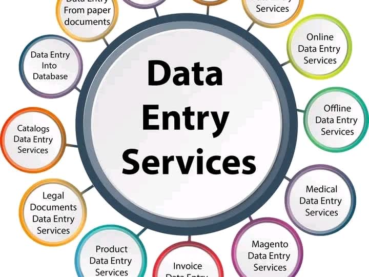 Cover image for Data entry clerk 