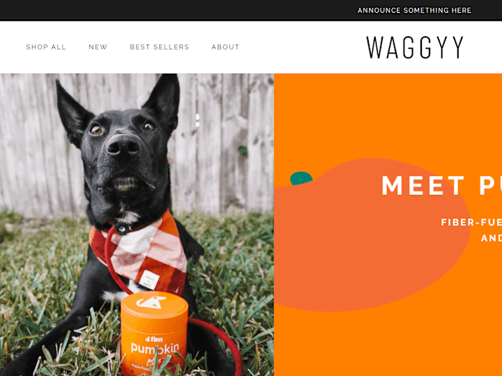 Cover image for Shopify store for waggy