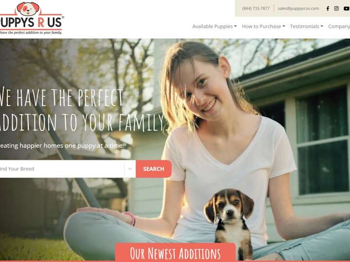 Cover image for Designer & Purebred Puppies for Sale | Puppys R Us