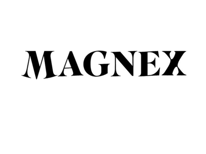 Cover image for Framer website for MAGNEX.ca