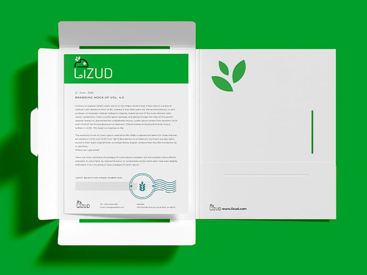 Cover image for Lizud Logo & Brand Identity Design