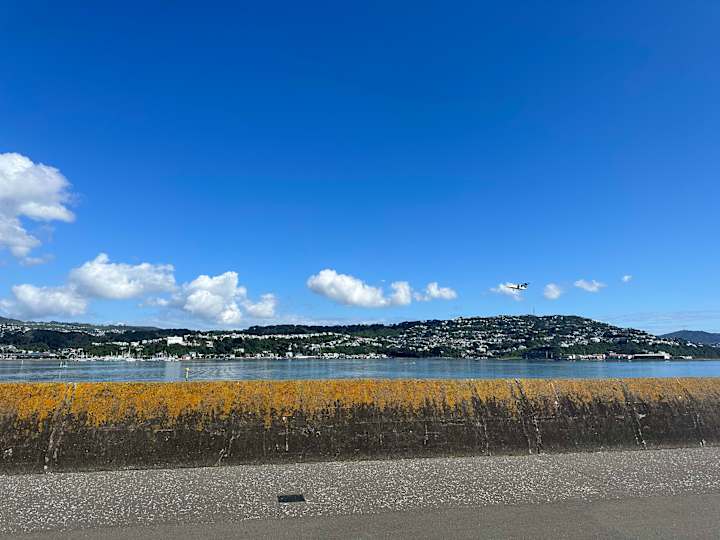 Cover image for Travel UGC 