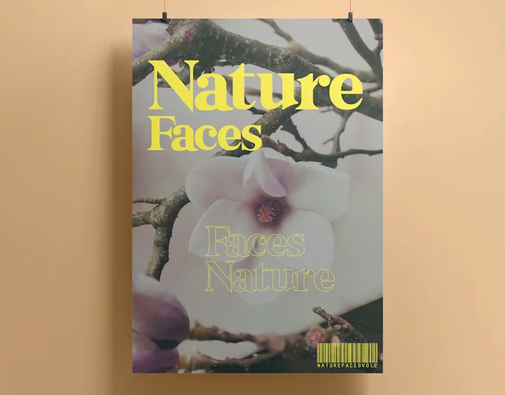 Cover image for Faces Vol.2