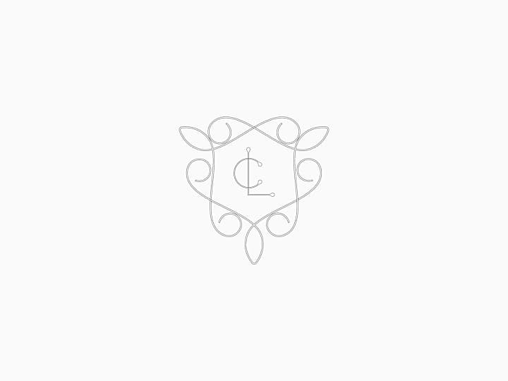 Cover image for Lu Castrejón Micropuntura Branding