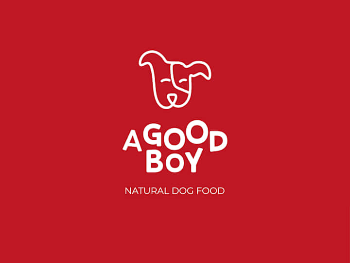 Cover image for A Good Boy