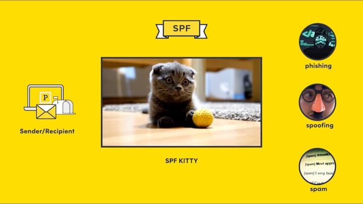 Cover image for What is SPF? It's a cat. Well, no. But maybe!