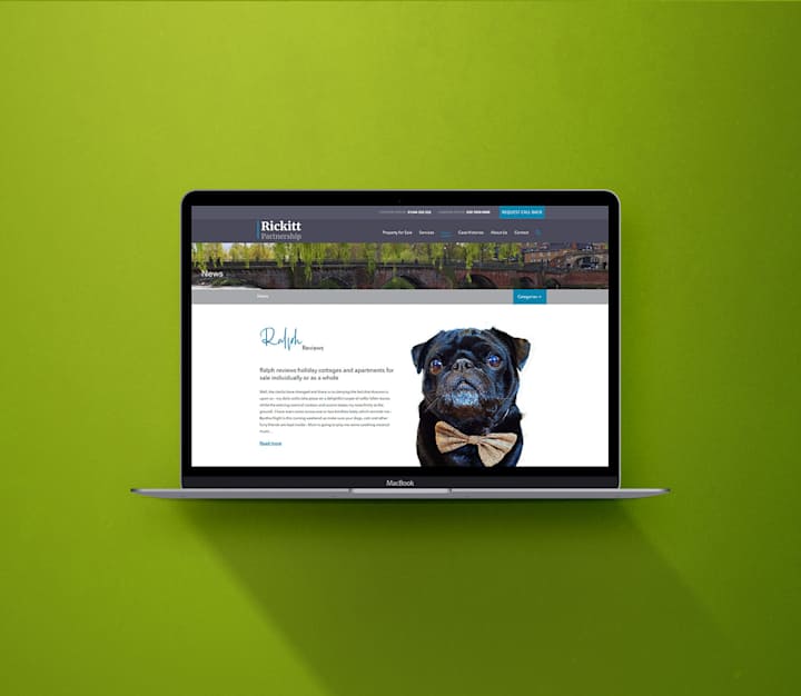 Cover image for Website: Estate Agents