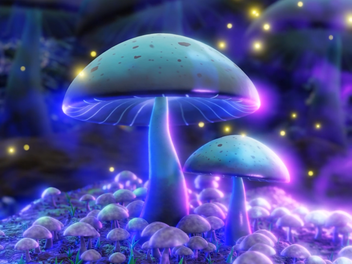 Cover image for Mystical Mushrooms