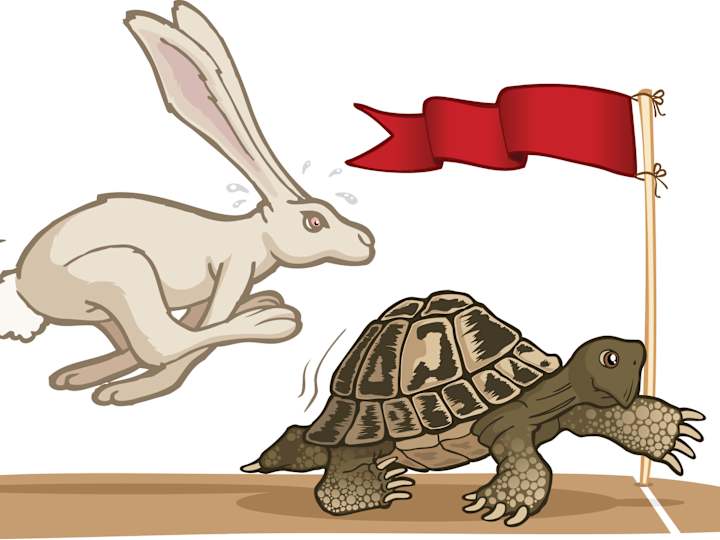 Cover image for SLOW & STEADY WINS THE RACE