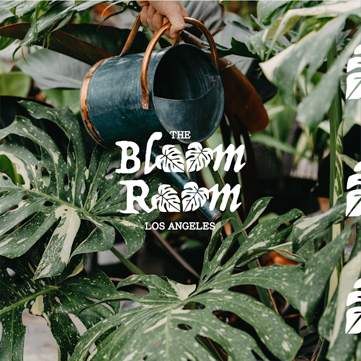 Cover image for Bloom Room