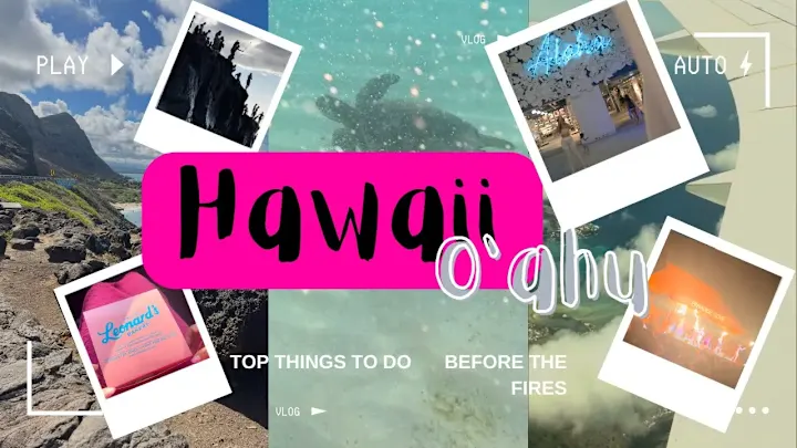 Cover image for We Went to Hawaii with Our 1 Year Old Right Before the Fires! -…