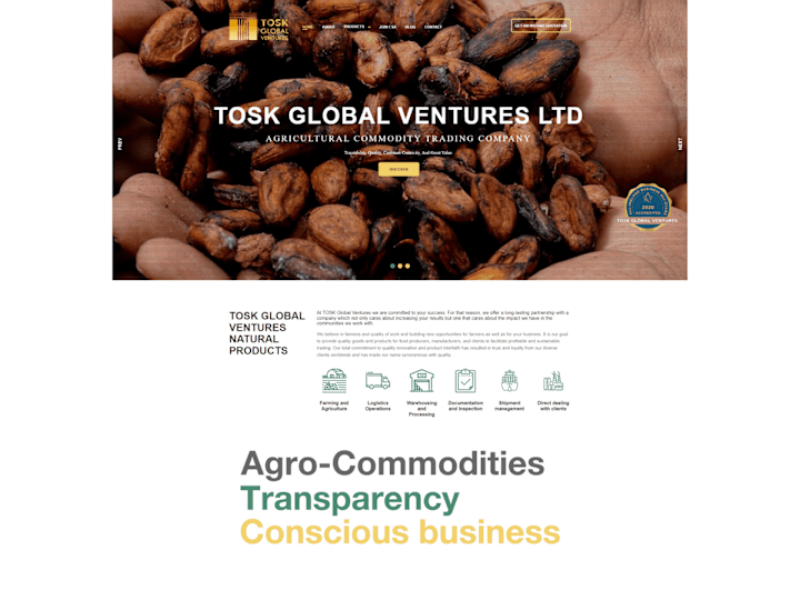 Cover image for Tosk Global Website (Business)