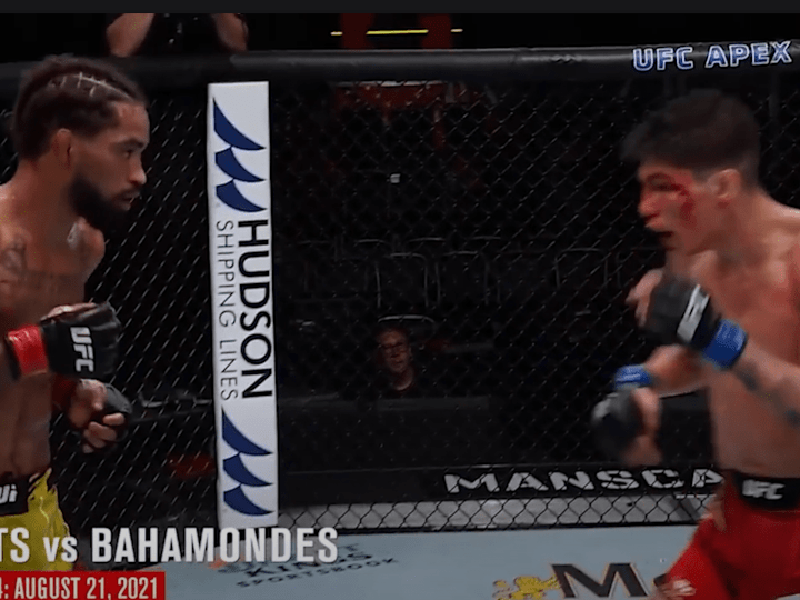 Cover image for UFC Style Videos