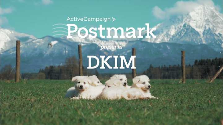 Cover image for What is DKIM? It's a thing. And look! Puppies!