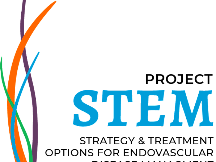 Cover image for Brand Designing
