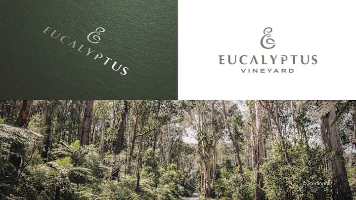 Cover image for Eucalyptus Vineyard