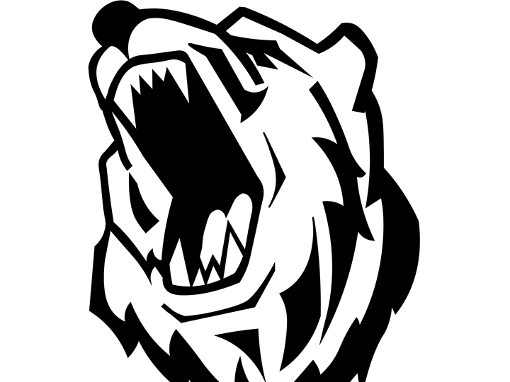 Cover image for Bear Athletics