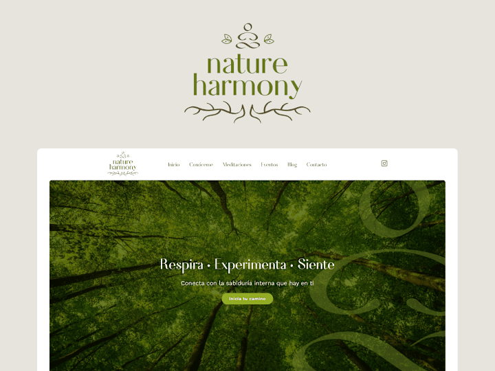 Cover image for Nature Harmony