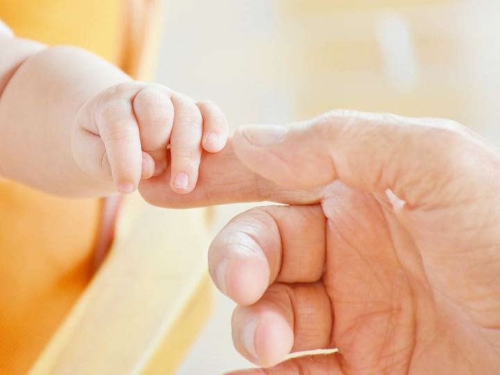 Cover image for NEWEST COLLECTION BRANDS FOR INFANTS