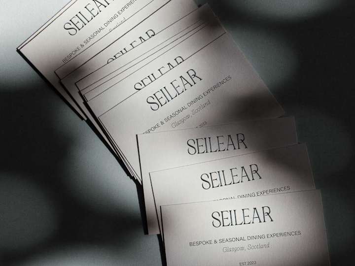 Cover image for Seilear Brand Identity