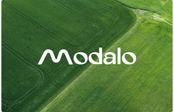 Cover image for Modalo