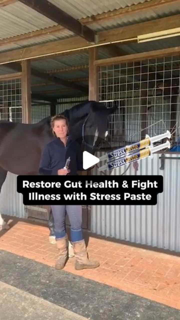 Cover image for Stress Paste Advertisement