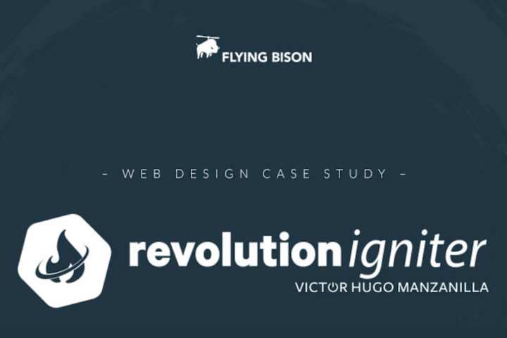 Cover image for Revolution Igniter