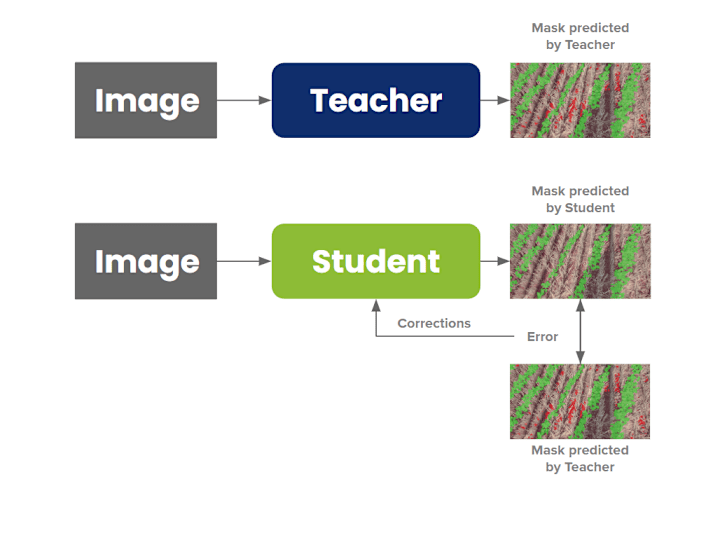 Cover image for Knowledge Distillation for Crop/Weed Image Segmentation (2022)