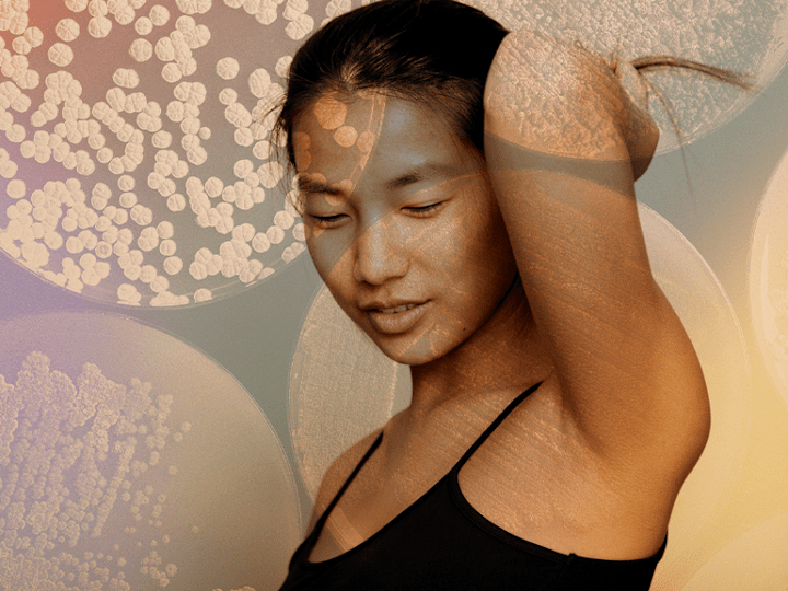 Cover image for ScentARC