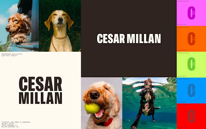 Cover image for Cesar Millan Rebrand